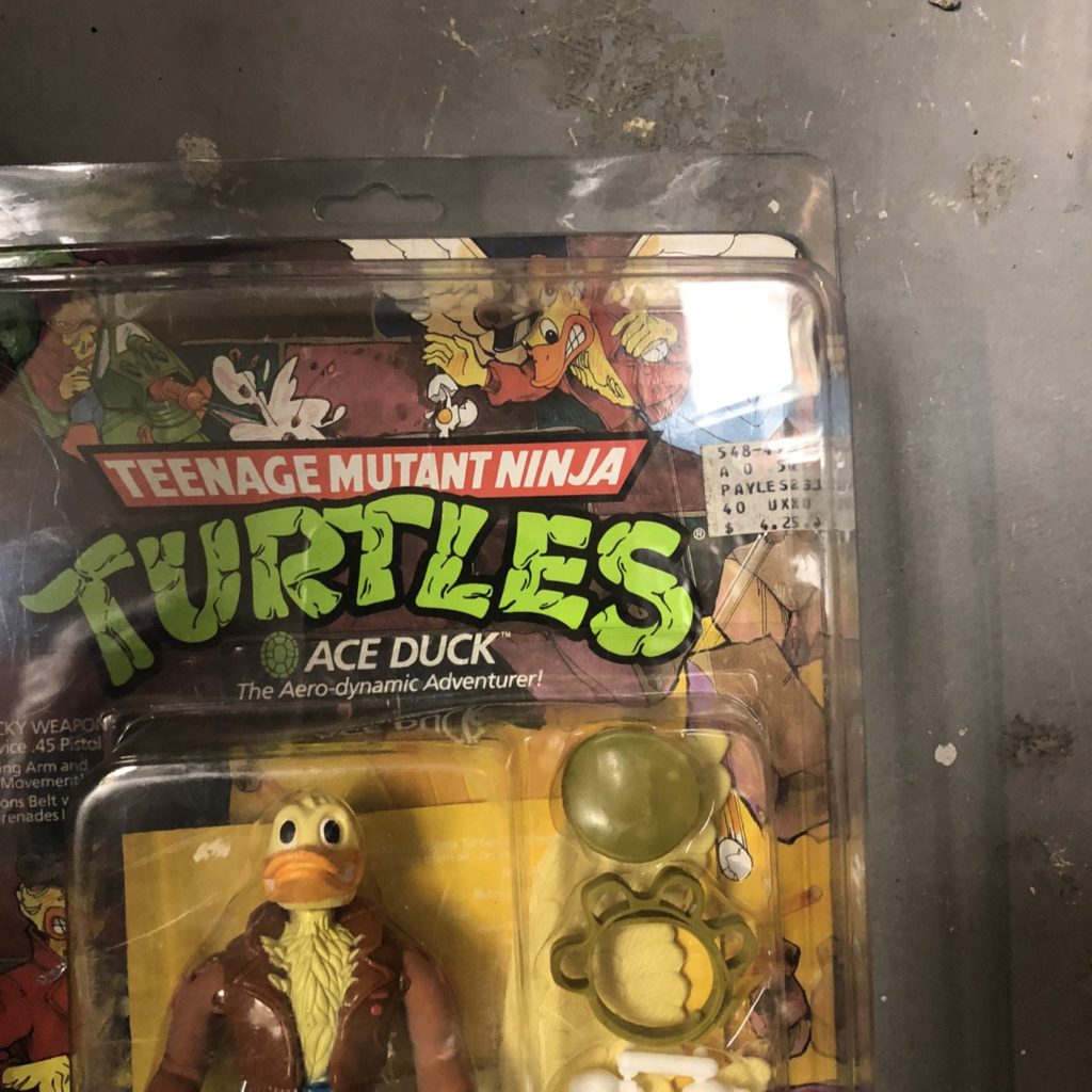 ace duck tmnt 2012